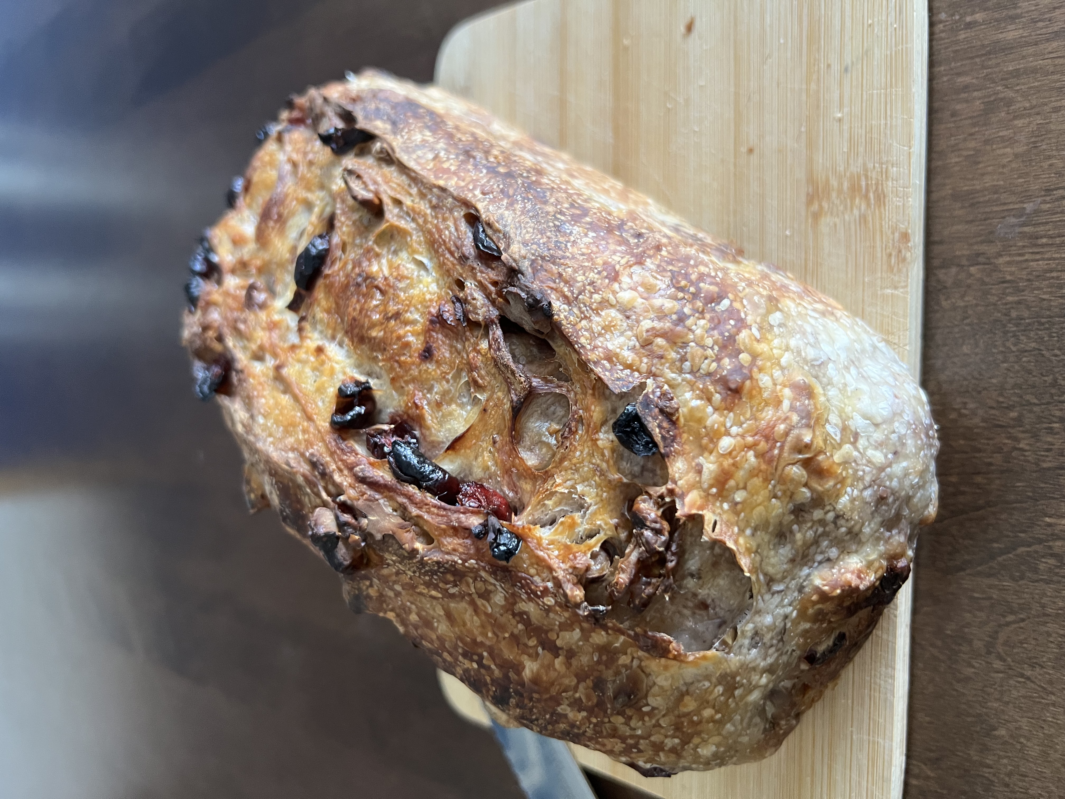 The Modern Fermentalist