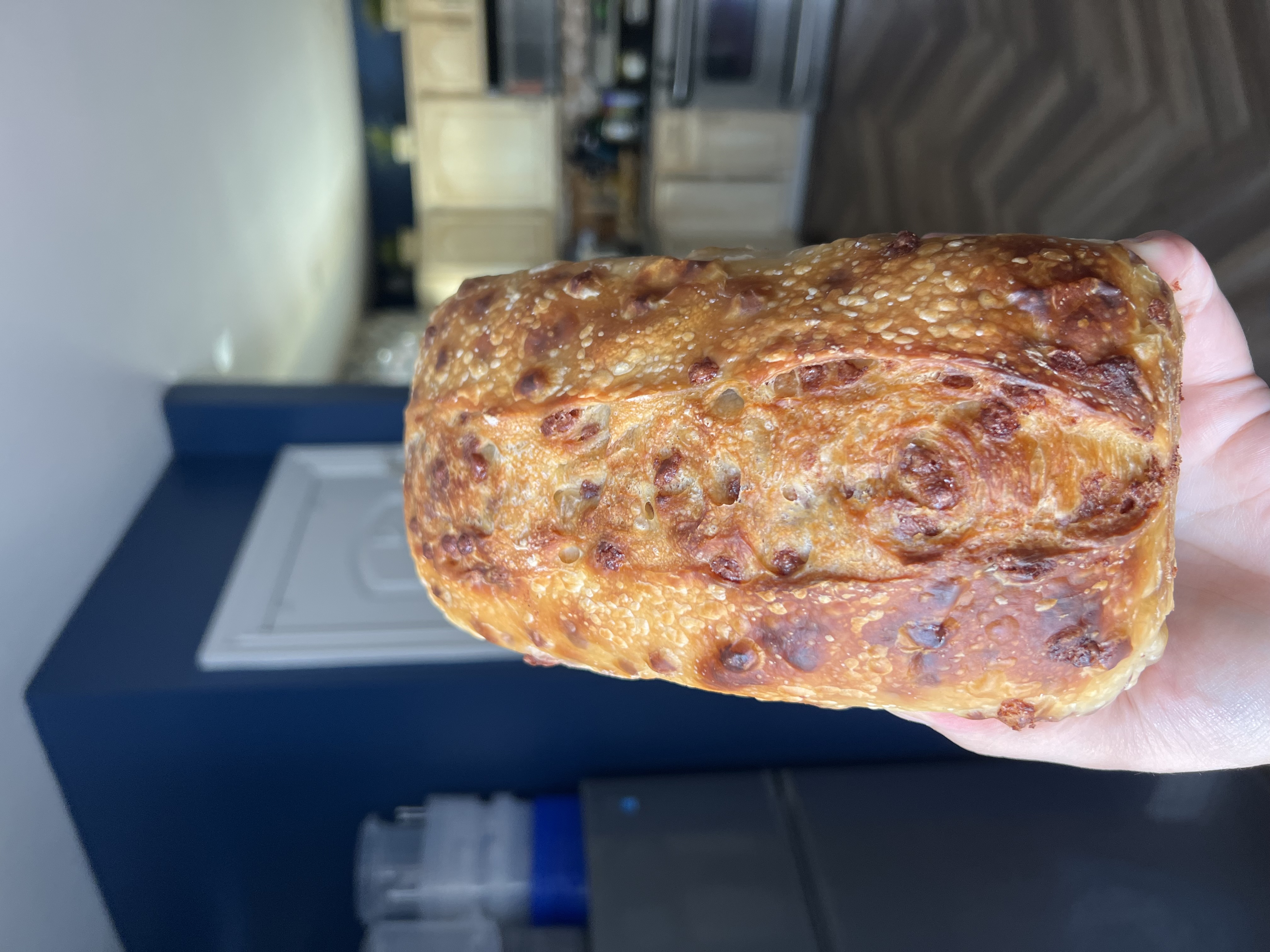 The Modern Fermentalist