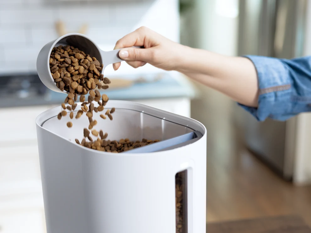 Press to Feed a Cat | Purina x Petivity