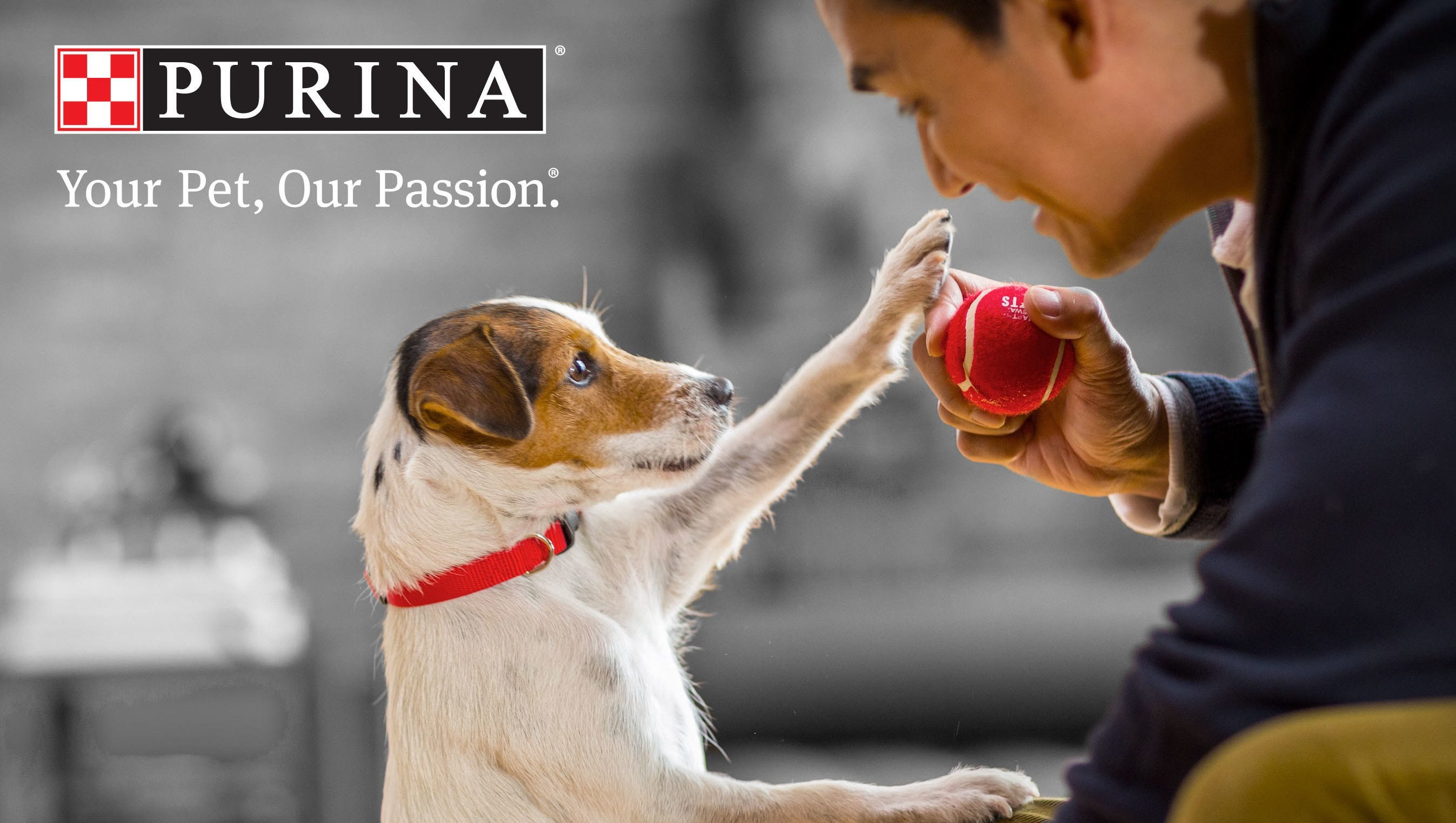 Purina