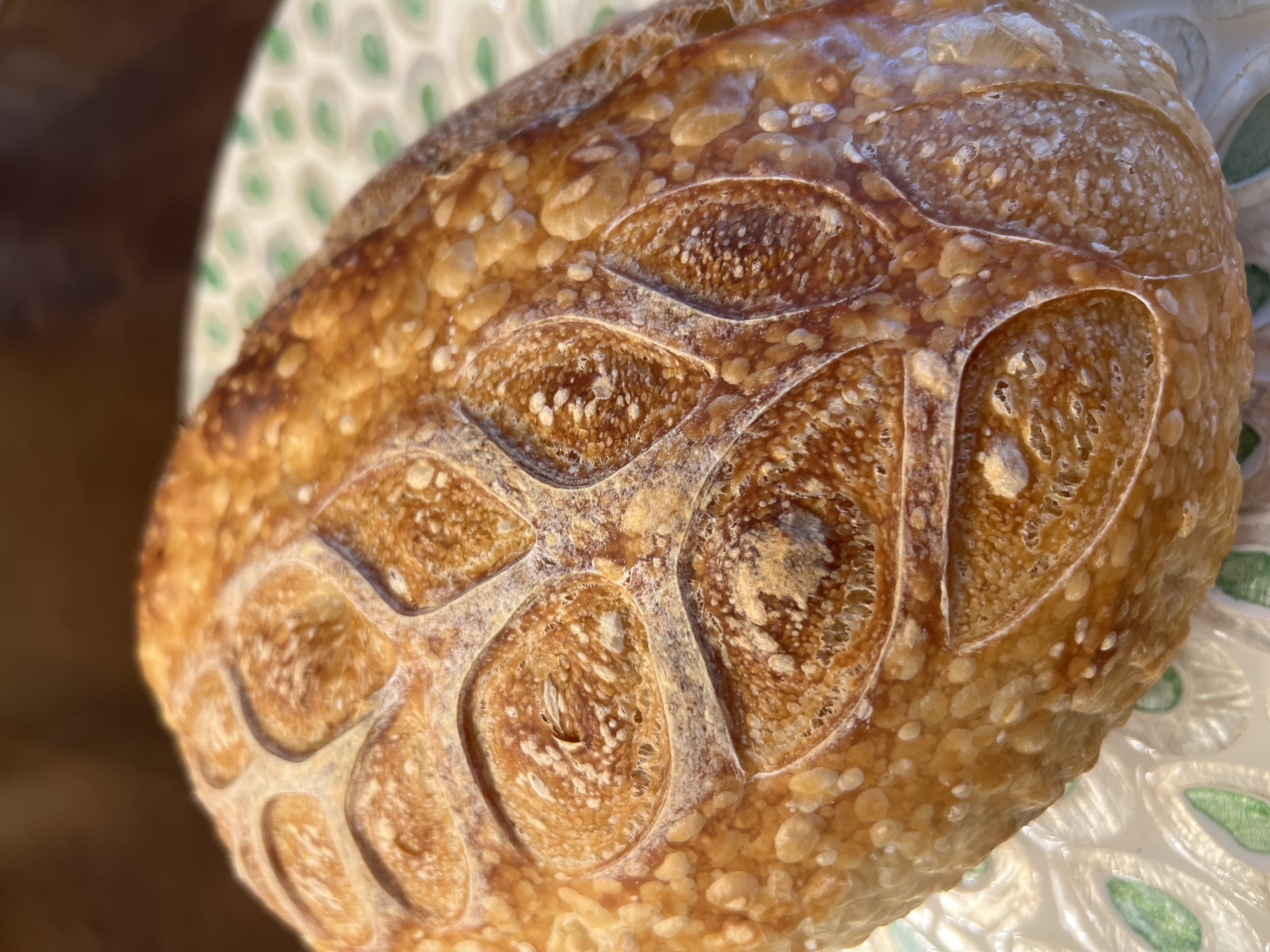 The Modern Fermentalist