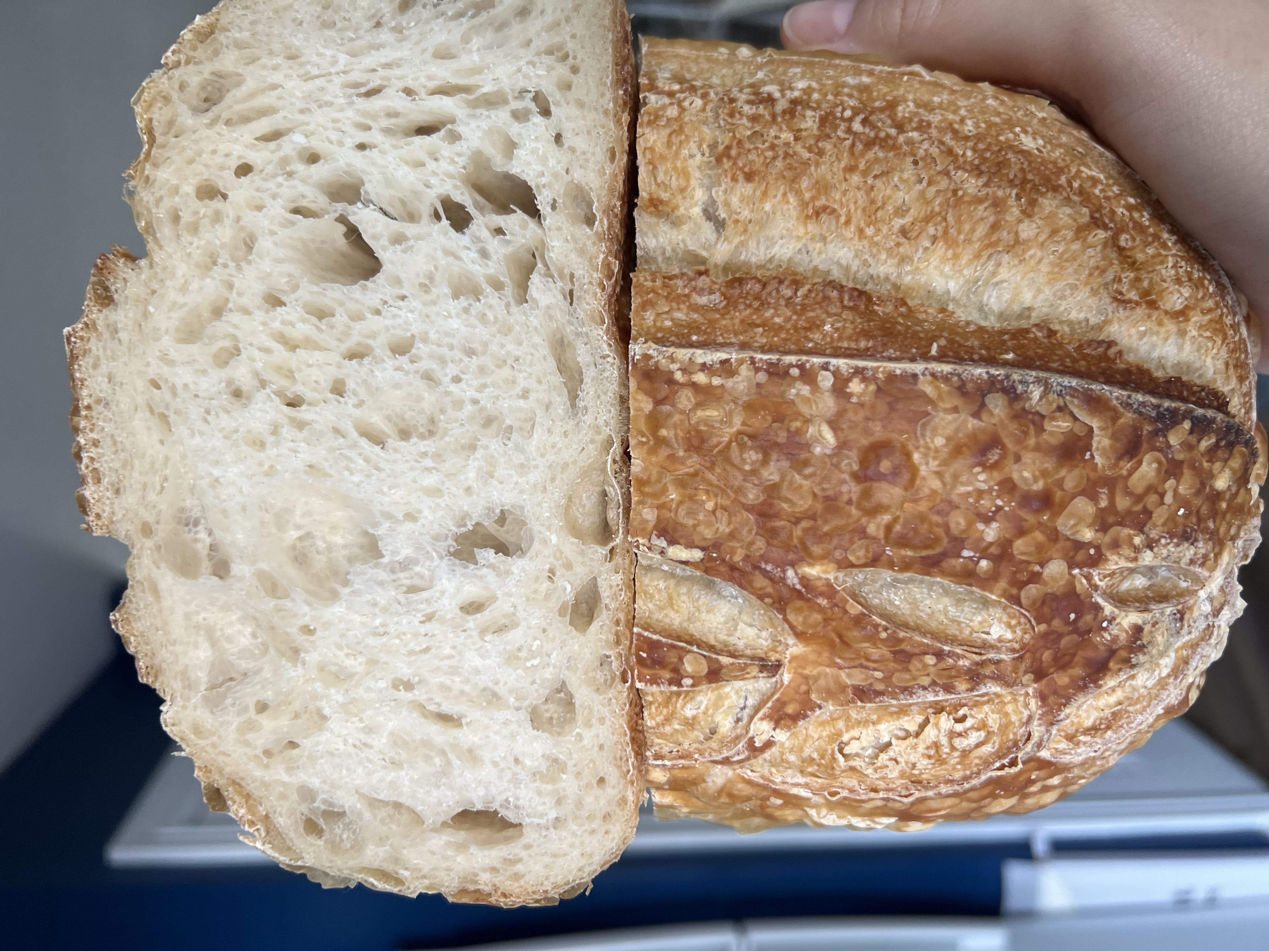 The Modern Fermentalist